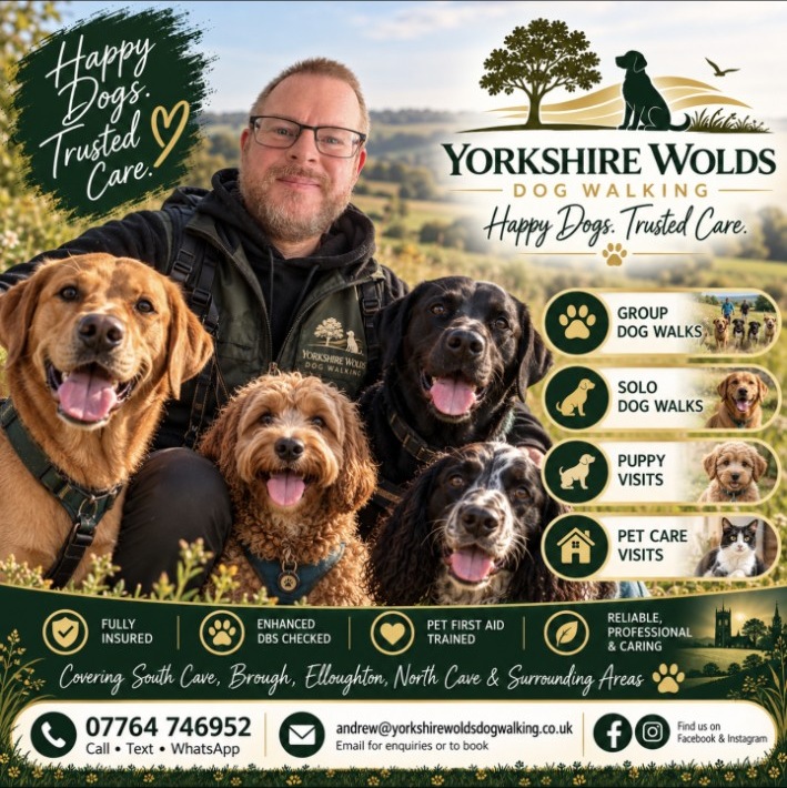 Andy with happy dogs in the Yorkshire countryside, Yorkshire Wolds Dog Walking